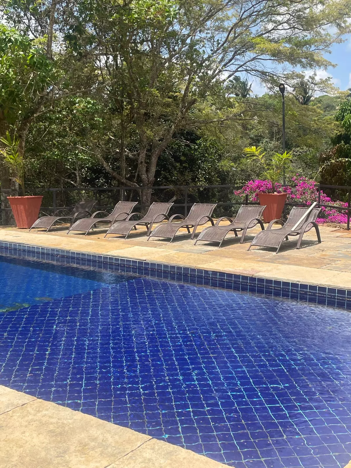 Piscina cercada por natureza